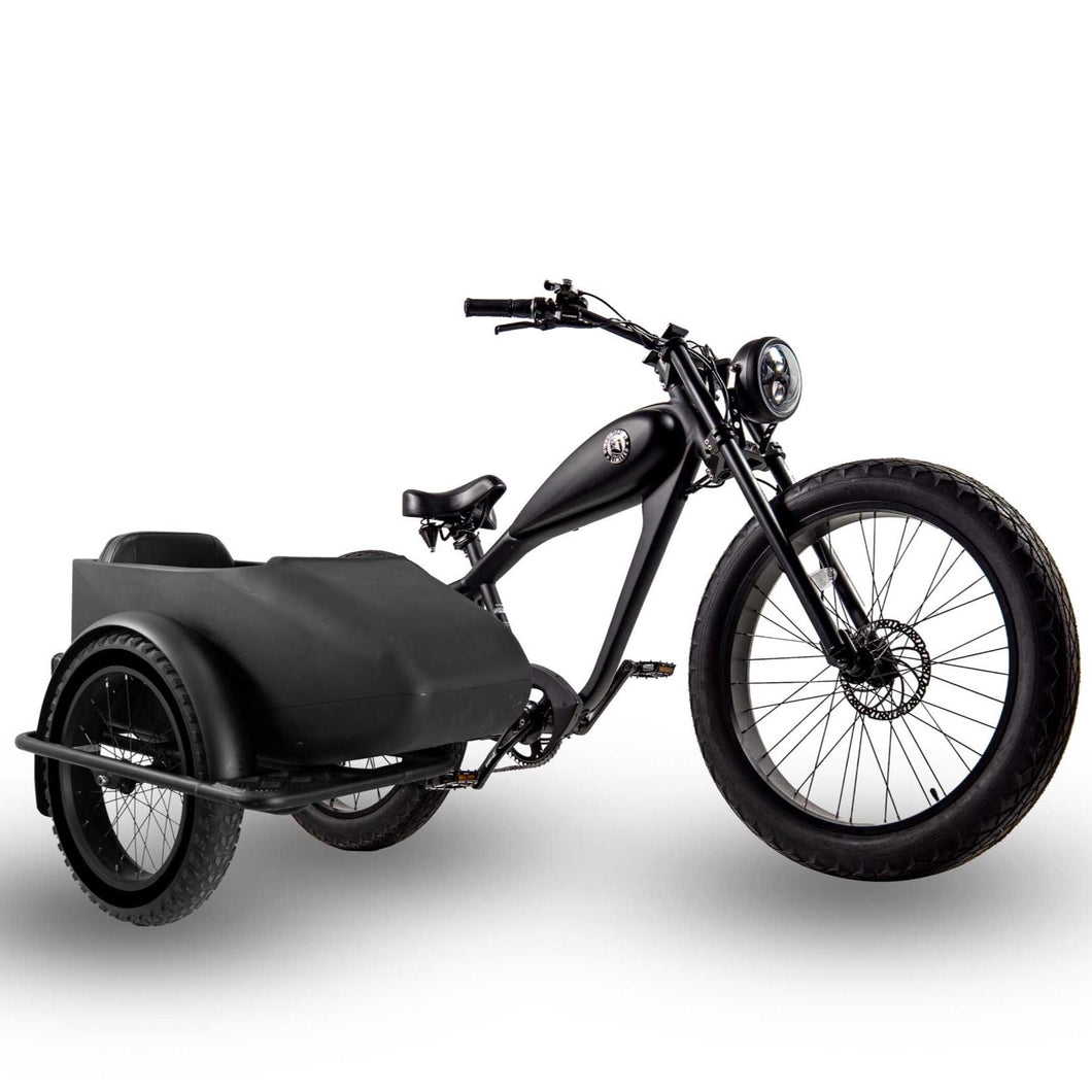 black ebike with a sidecar