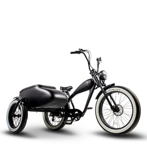 Bike with sidecar from Wicked Thumb Ebikes